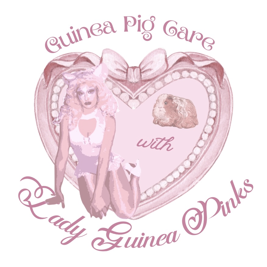 Copy of Guinea Pig Care w LGP Flyer - Juniper Brown